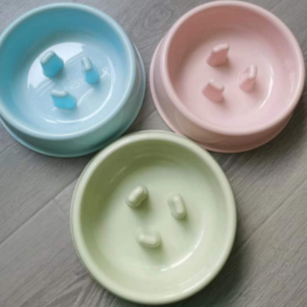 Slow food bowl(HYCWG1-2023A6)