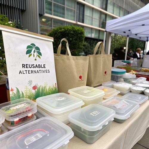 The Environmental Considerations of Plastic Lunch Boxes: Making Informed Choices