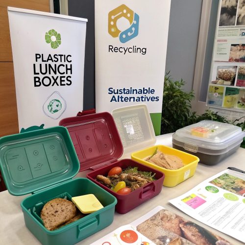 The Environmental Considerations of Plastic Lunch Boxes: Making Informed Choices