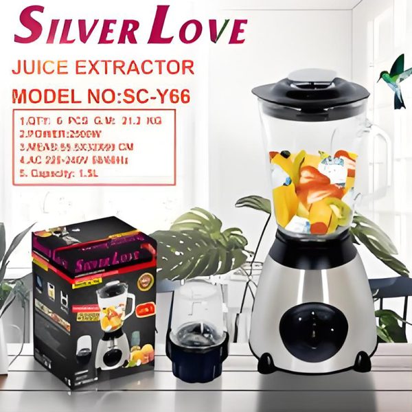 2 IN1JUICER & BLENDER HYJDB11-SCY66