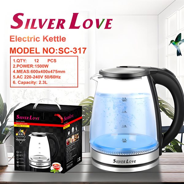 Glass kettle HYJDB11-SC317