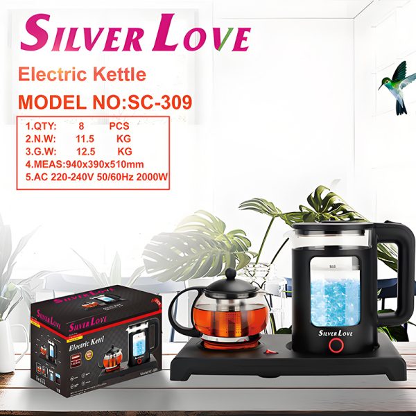 2 in 1  Tea Kettle Glass HYJDB11-SC309