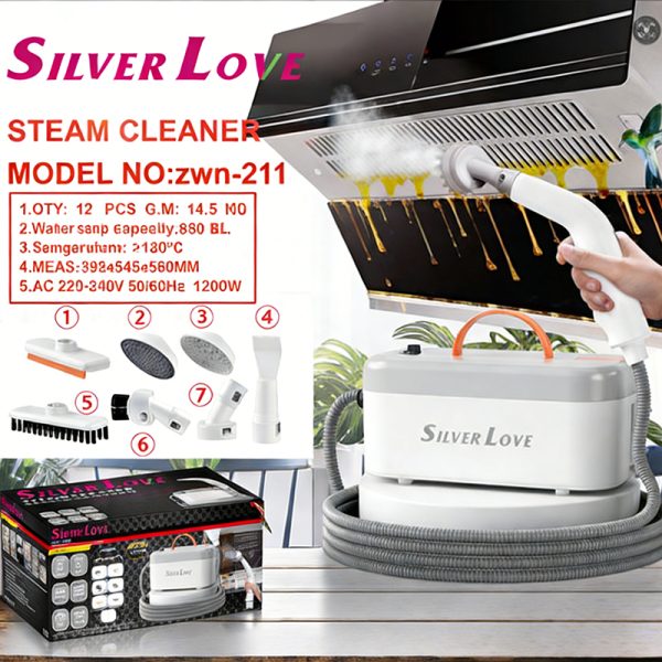 Steam cleaner HYJDB11-zwn211